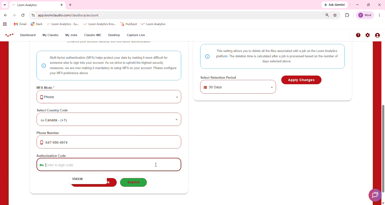 Entered verification code - gif